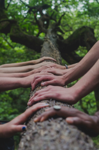 Are your teams stepping on each other? The problem might be your codebase