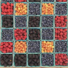 SOLID principles: Understanding the dependency inversion principle